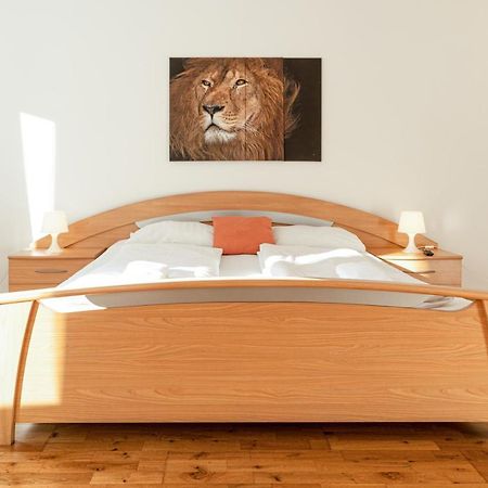 Comfortable 3Br Shared Apart. - Suitable For Long Stays Wien Ngoại thất bức ảnh
